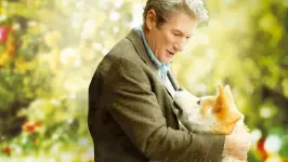 Hachi: A Dogs Tale
