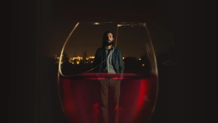 დაპატიჟება | The Invitation