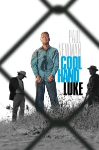 გულგრილი ლიუკი | Cool Hand Luke