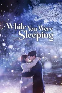 სანამ შენ გეძინა | While You Were Sleeping