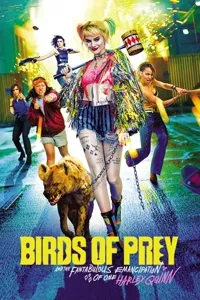 მტაცებელი ფრინველები | Birds of Prey