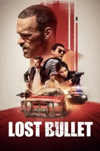 დაკარგული ტყვია | Lost Bullet
