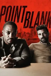 სროლა დამიზნებით | Point Blank